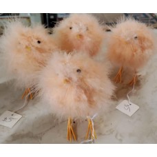 Feather Birds