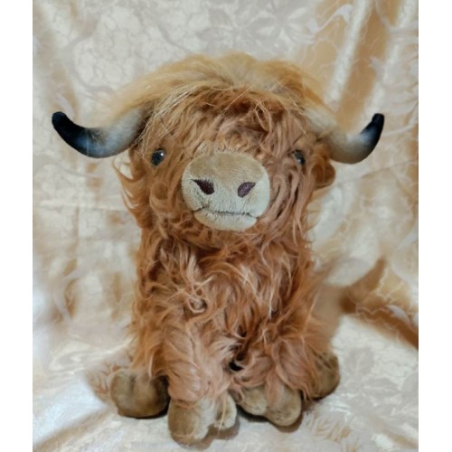 Highland Cow
