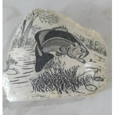 Fish Rock Fish Rock
