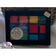 Seasons of Hope Wax Melts